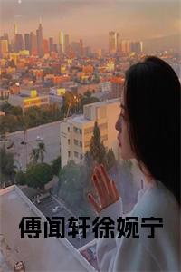 傅闻轩徐婉宁阅读完整