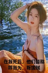 在我死后，他们皆称呼我为，叛国贼小说