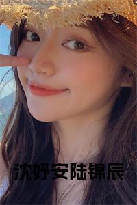 沈妤安陆锦辰全文txt