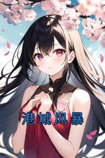港城风暴全集小说