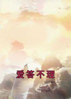 爱答不理畅销小说推荐