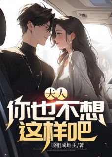 夫人，你也不想这样吧全文版
