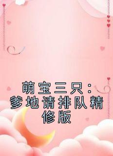 萌宝三只：爹地请排队精修版高质量小说