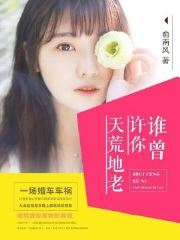 谁曾许你天荒地老畅销巨作