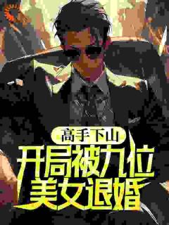 高手下山，开局被九位美女退婚高质量小说