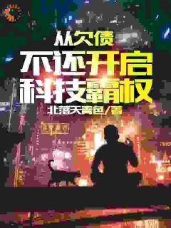 欠债大佬们对我咬牙切齿长篇小说