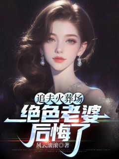 追夫火葬场，绝色老婆后悔了高质量小说