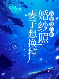 妻子想换掉婚纱照，我给她自由全集小说