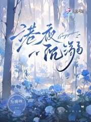 港夜沉溺畅销巨作
