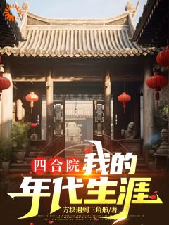 四合院：我的年代生涯精选小说