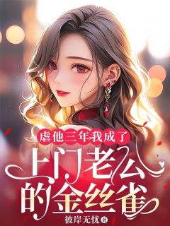虐他三年，我成了上门老公的金丝雀全本阅读