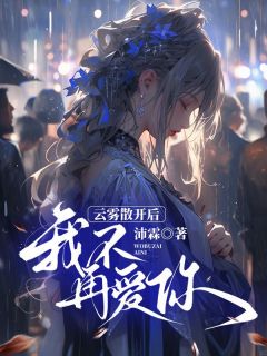 云雾散开后，我不再爱你畅销小说推荐
