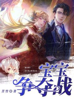 宝宝争夺战最新热门小说