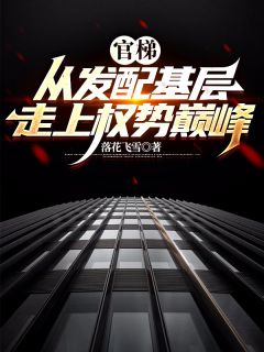 官梯：从发配基层走上权势巅峰长篇小说