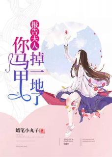 报告夫人，你马甲掉一地了完整文集阅读