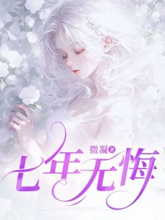 七年无悔全集小说推荐