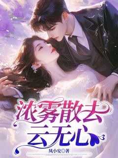 浓雾散去云无心畅销巨著