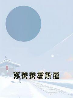 苏安安君斯霆畅销巨著