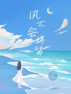 风不会停留全文阅读