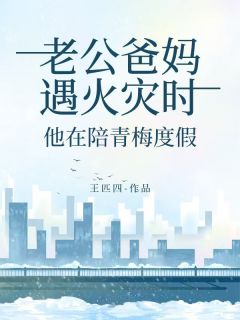 老公爸妈遇火灾时，他在陪青梅度假畅销小说推荐
