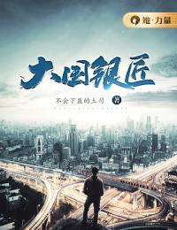 大国银匠畅销小说推荐