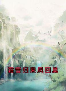 霜雪归来凤回巢优秀文集