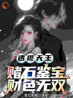 透视天王：赌石鉴宝财色无双全本阅读