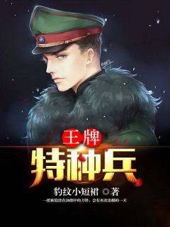 王牌特种兵全集小说