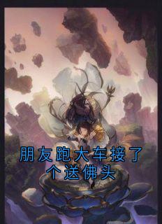 朋友跑大车接了个送佛头完整阅读