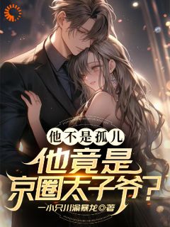 他不是孤儿！他竟是京圈太子爷？畅销小说推荐