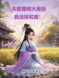 夫君兼祧大房后，我选择和离！精品小说