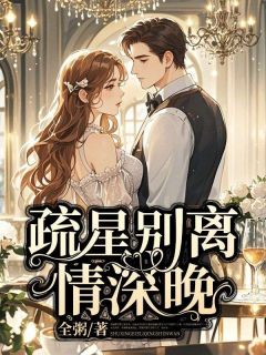 疏星别离情深晚精选小说