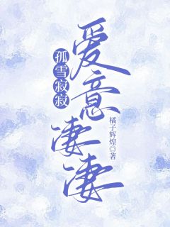 孤雪寂寂，爱意凄凄完整版