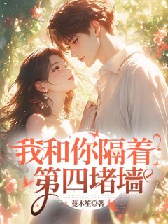 我和你隔着第四堵墙全本阅读