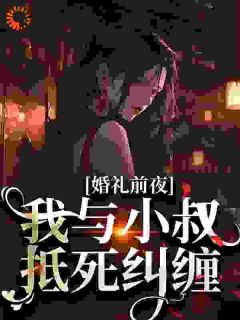 婚礼前夜，我与小叔抵死纠缠精品阅读