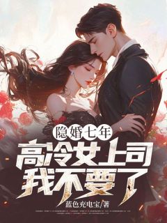 隐婚七年，高冷女上司我不要了热门小说
