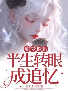 如梦似幻，半生转眼成追忆优秀文集