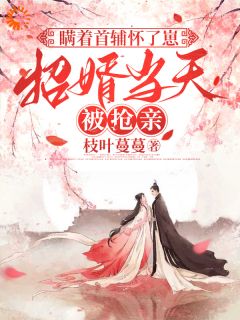 瞒着首辅怀了崽，招婿当天被抢亲全文版