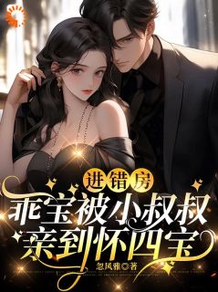 进错房，乖宝被小叔叔亲到怀四宝长篇小说