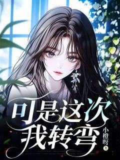 可是这次我转弯高质量小说