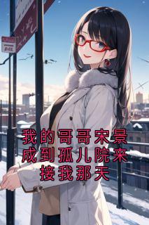 我的哥哥宋景成到孤儿院来接我那天精品小说