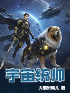 宇宙统帅全集小说