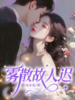 雾散故人迟全集小说