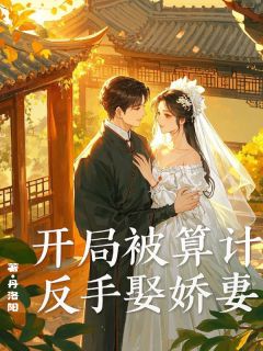 四合院：开局被算计，反手娶娇妻精品阅读