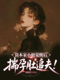 资本家小姐觉醒后，揣孕肚追夫！全集小说推荐