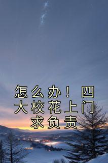 怎么办！四大校花上门求负责畅销巨作