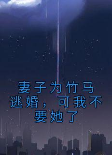 妻子为竹马逃婚，可我不要她了精选小说推荐