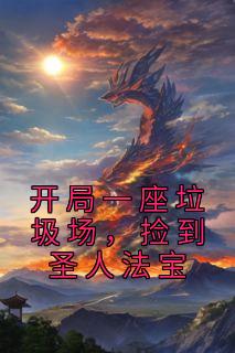 开局一座垃圾场，捡到圣人法宝精品小说