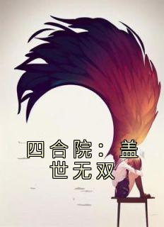 四合院：盖世无双全文版