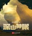 深山神眼畅销小说推荐